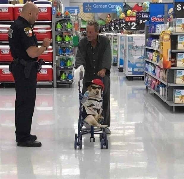 Klyker Picdump #1710 (45 photos)