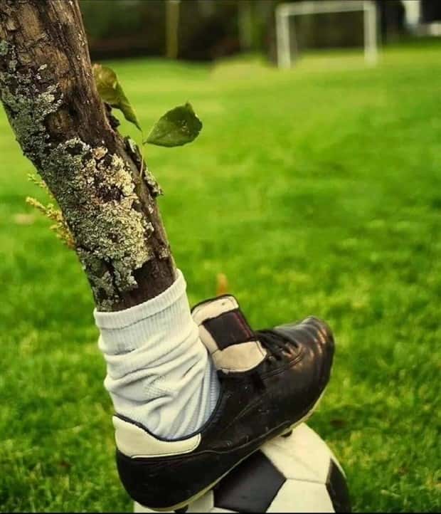 Klyker Picdump #1712 (42 photos)