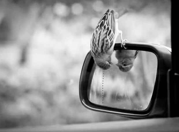 Klyker Picdump #1712 (42 photos)