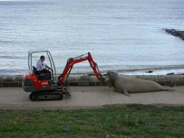 Klyker Picdump #1712 (42 photos)