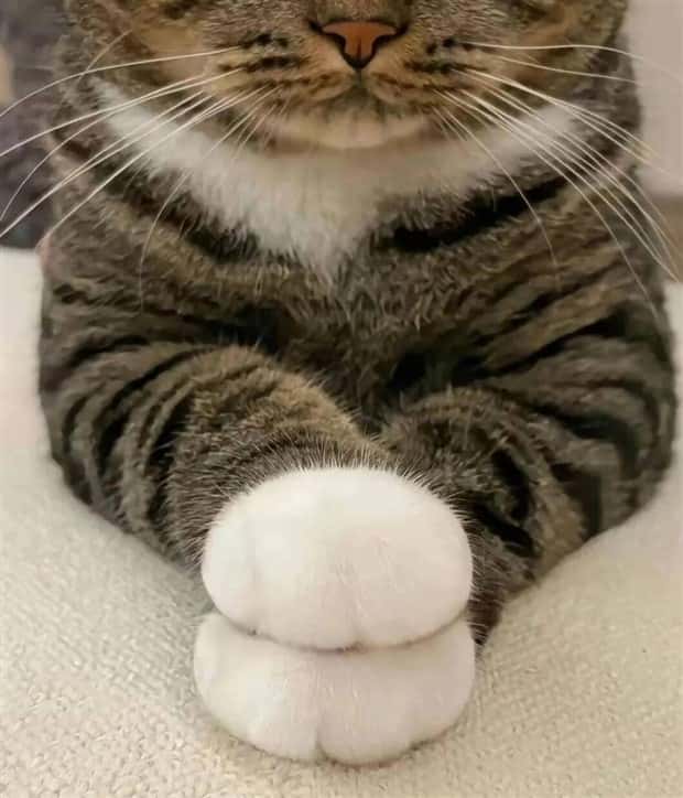 Klyker Picdump #1712 (42 photos)