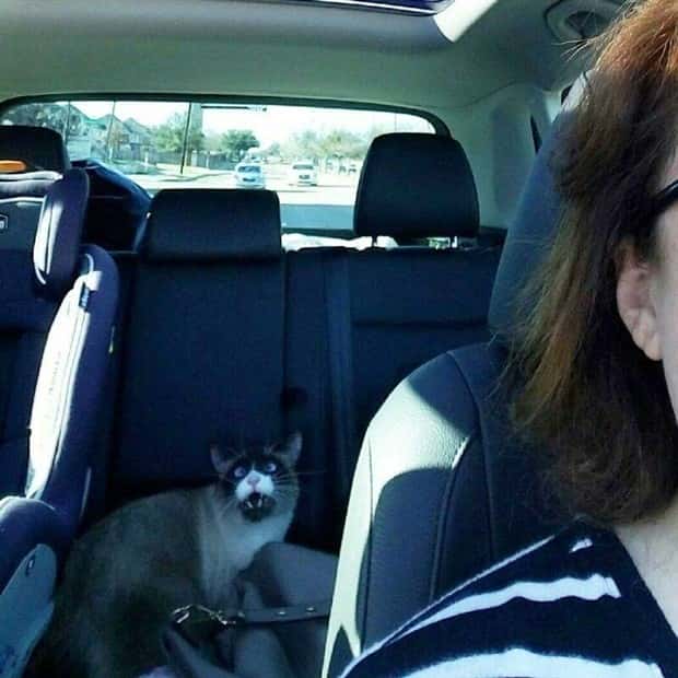 Klyker Picdump #1712 (42 photos)