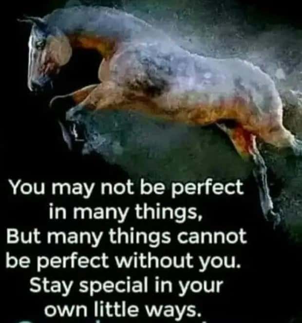 motivational quotes 1 2 Motivational Quotes, Because It’s Monday #150 (24 photos)