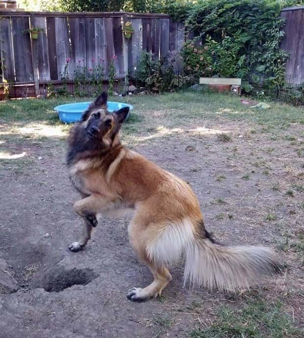 Photogenic Animals You’ll Instantly Love (36 photos)