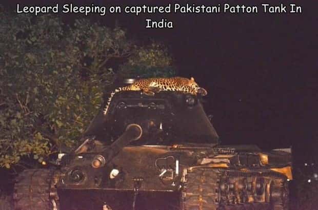 Interesting Pictures with Captions #151 (25 photos)