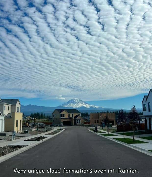 Interesting Pictures with Captions #151 (25 photos)