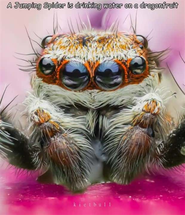 Interesting Pictures with Captions #151 (25 photos)