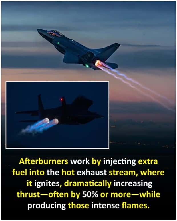 random interesting facts 2 Cool and Interesting Facts #423 (24 photos)