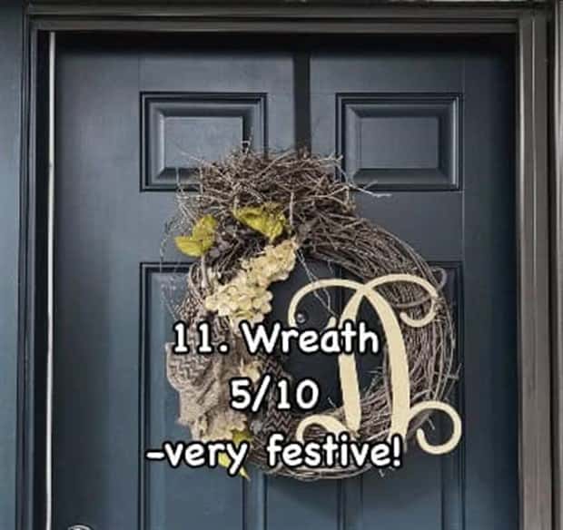 Reviewing Bird Nests Like a Critic (30 photos)