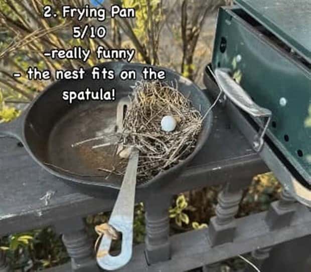 Reviewing Bird Nests Like a Critic (30 photos)