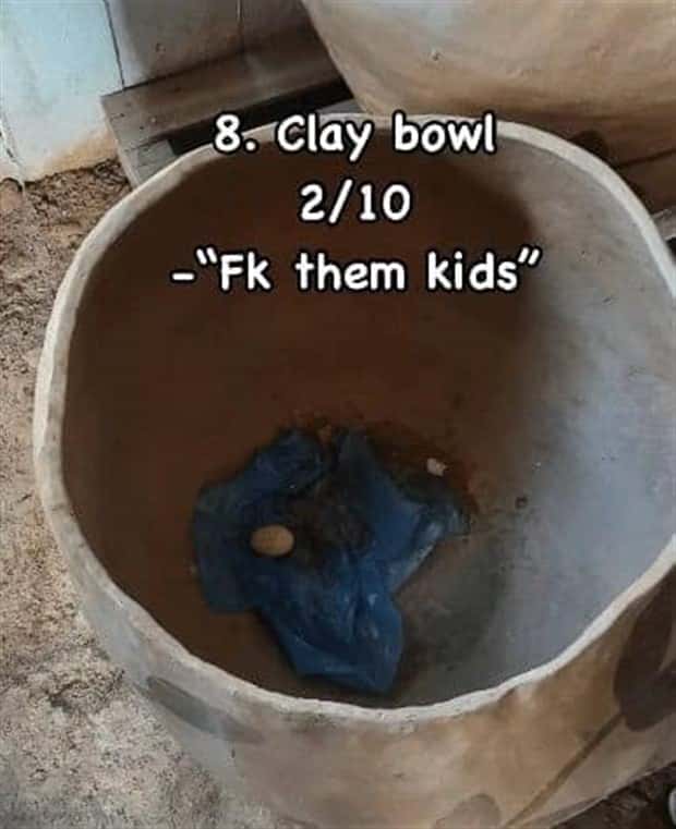 Reviewing Bird Nests Like a Critic (30 photos)