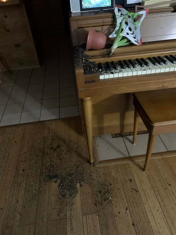 shit happens 15 Shit Happens Regularly, Get Used To It #323 (25 photos)