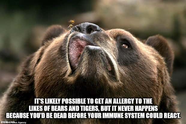 Funny Shower Thoughts #151 (22 photos)