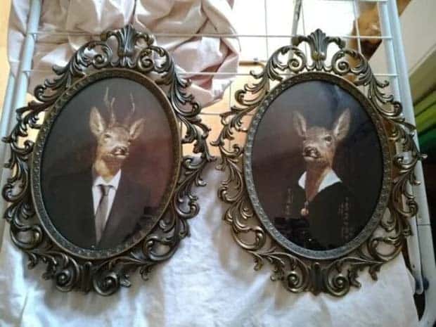 strange thrift store things 12 Strange Things Found in Thrift Stores #27 (25 photos)