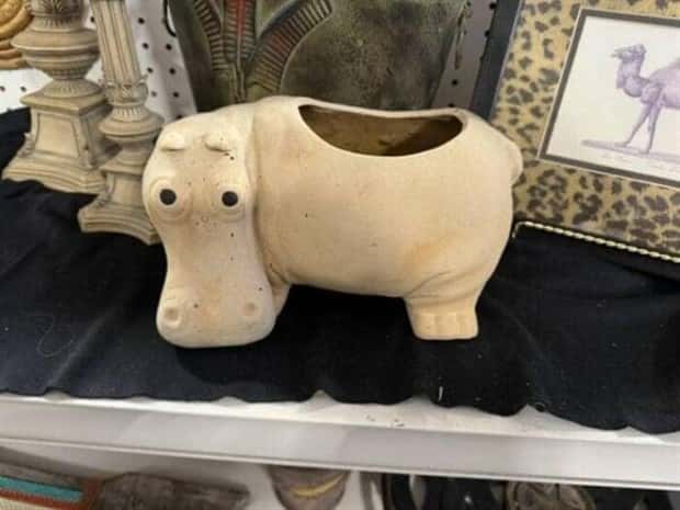strange thrift store things 16 Strange Things Found in Thrift Stores #27 (25 photos)