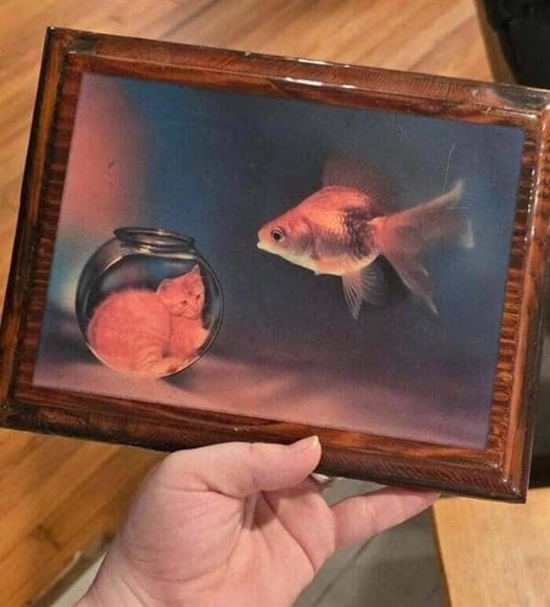 strange thrift store things 23 Strange Things Found in Thrift Stores #27 (25 photos)