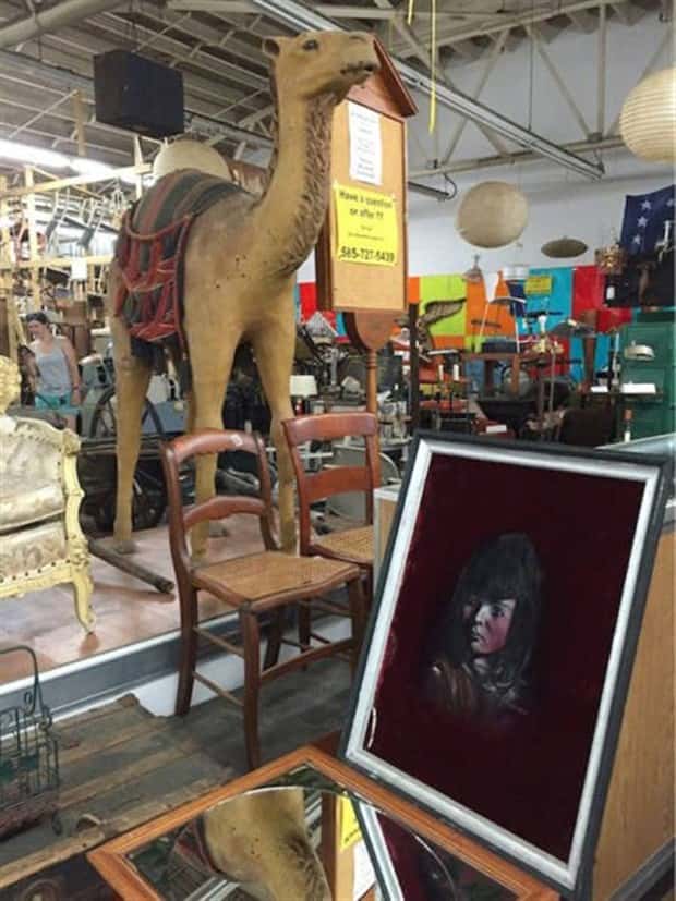 strange thrift store things 7 Strange Things Found in Thrift Stores #27 (25 photos)