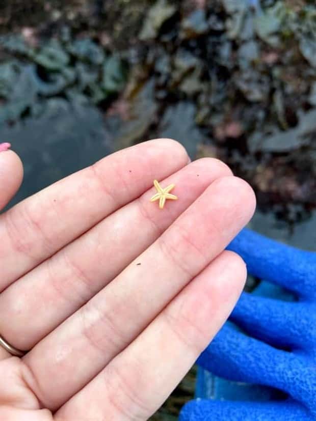 Tiny Animals with Big Charm (36 photos)