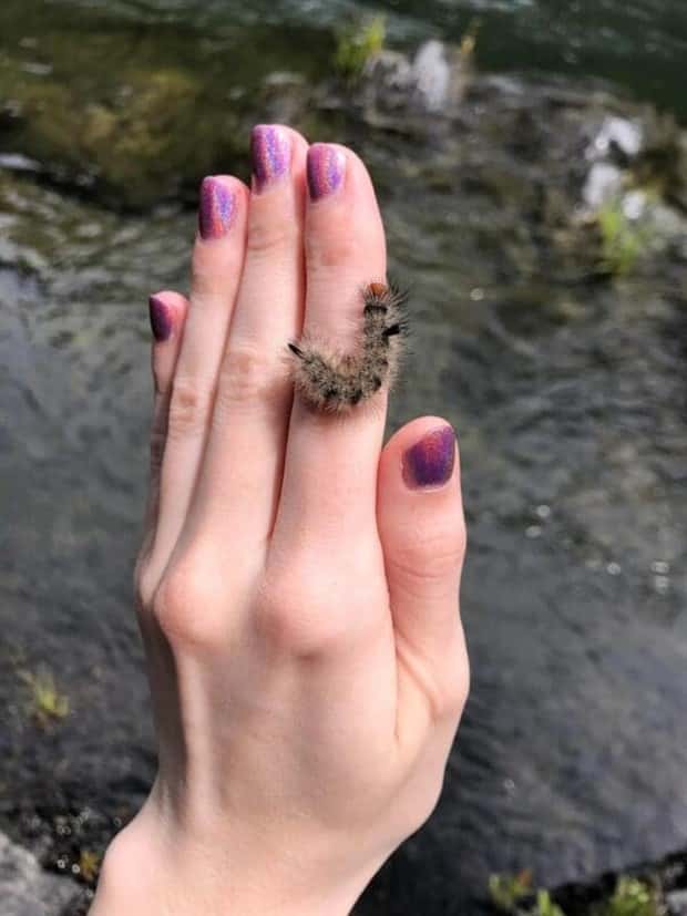 Tiny Animals with Big Charm (36 photos)