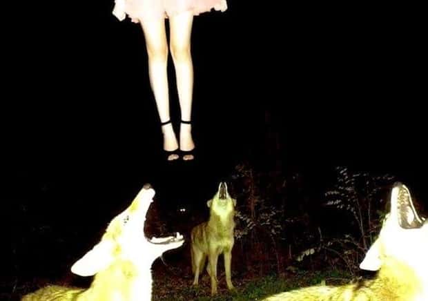 weird picd from internet 9 Welcome to the Weird Side of the Internet #195 (22 photos)