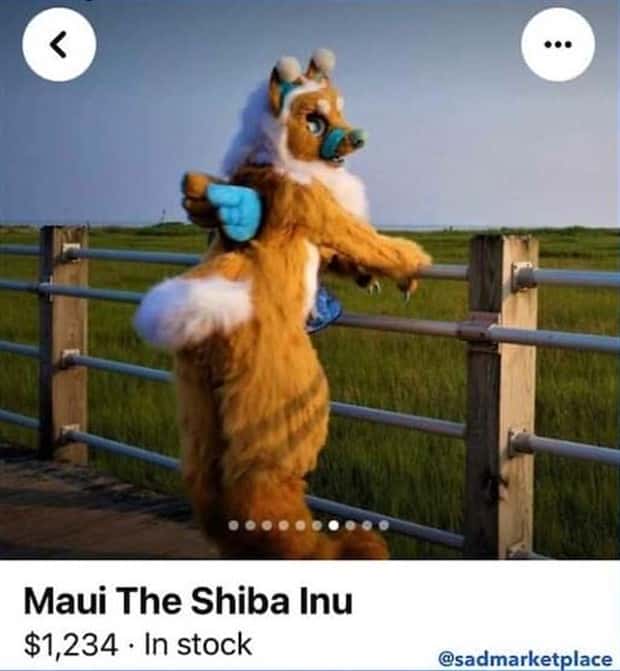 Absurd Facebook Marketplace Finds (30 photos)