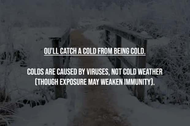 common misconceptions 1 17 Common Misconceptions People Still Believe (17 photos)