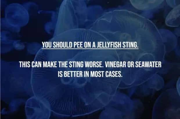 common misconceptions 3 17 Common Misconceptions People Still Believe (17 photos)