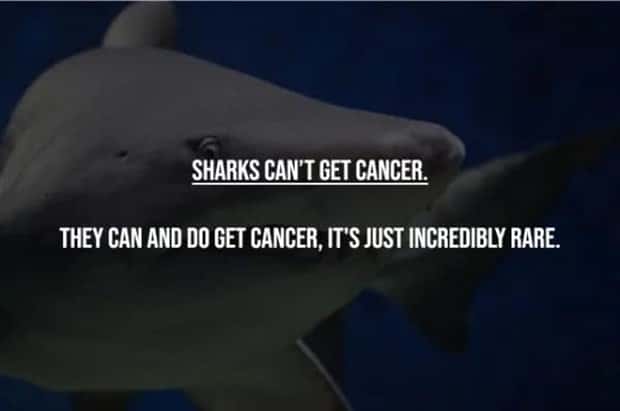 common misconceptions 4 17 Common Misconceptions People Still Believe (17 photos)