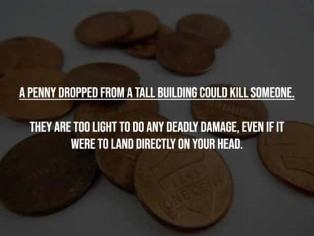 common misconceptions 6 17 Common Misconceptions People Still Believe (17 photos)