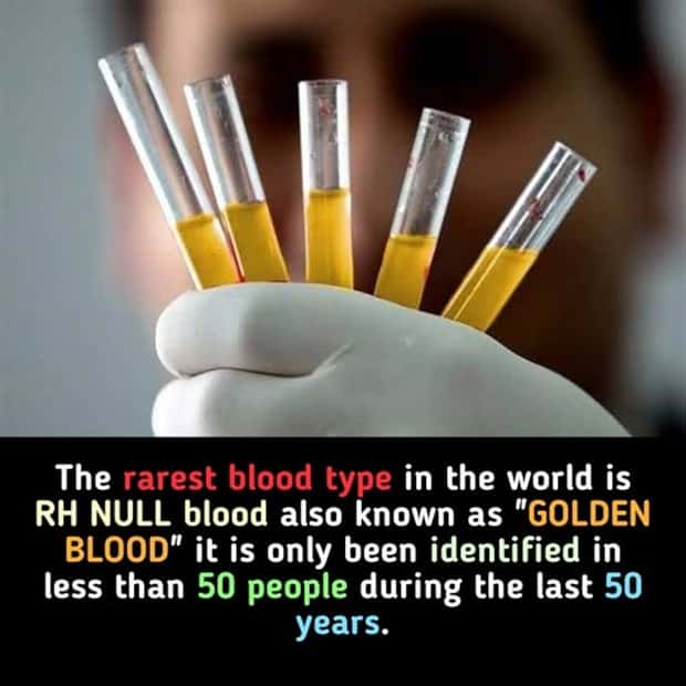 cool facts 11 Cool and Interesting Facts #428 (23 photos)