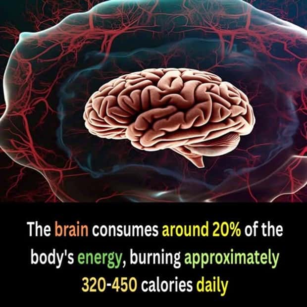 cool facts 12 Cool and Interesting Facts #428 (23 photos)