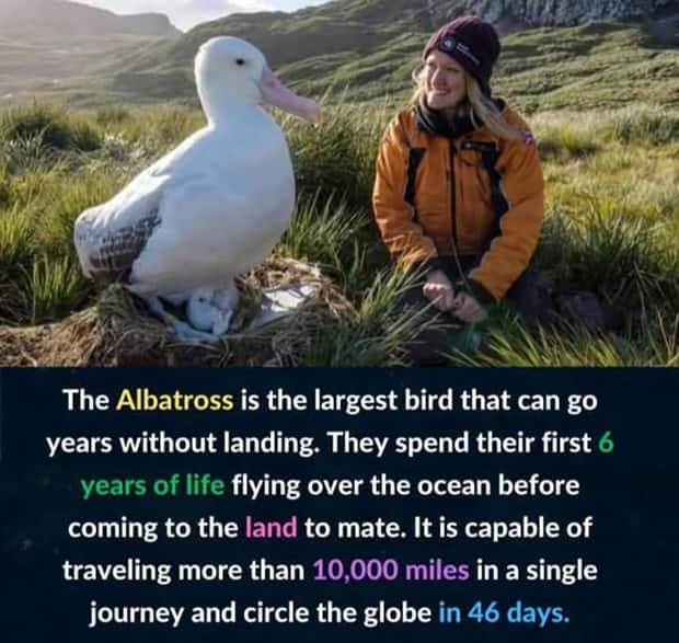 cool facts 13 Cool and Interesting Facts #428 (23 photos)