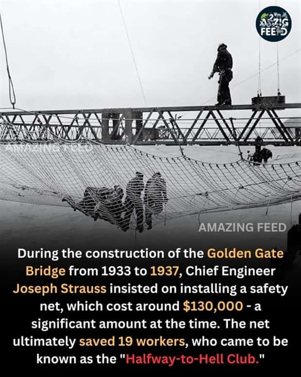 cool facts 18 Cool and Interesting Facts #428 (23 photos)