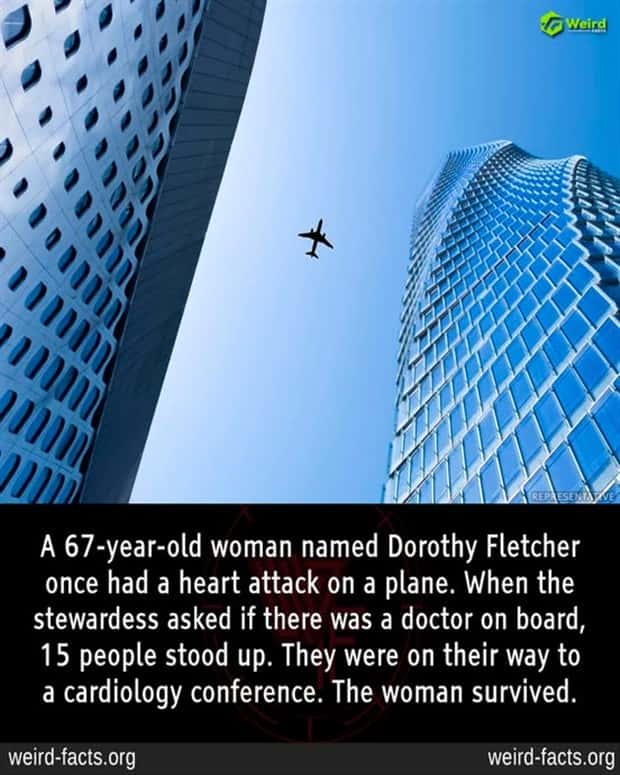 cool facts 19 Cool and Interesting Facts #428 (23 photos)
