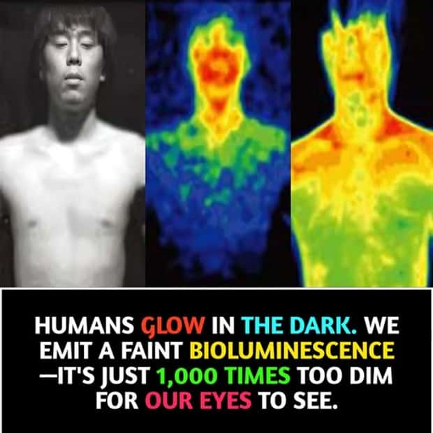 cool facts 3 Cool and Interesting Facts #428 (23 photos)