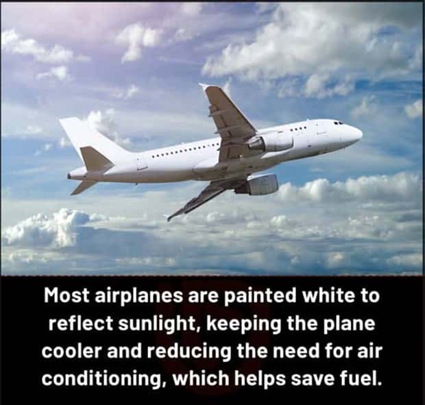 cool facts 6 Cool and Interesting Facts #428 (23 photos)