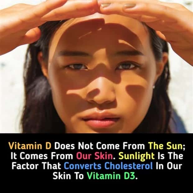 cool facts 9 Cool and Interesting Facts #428 (23 photos)