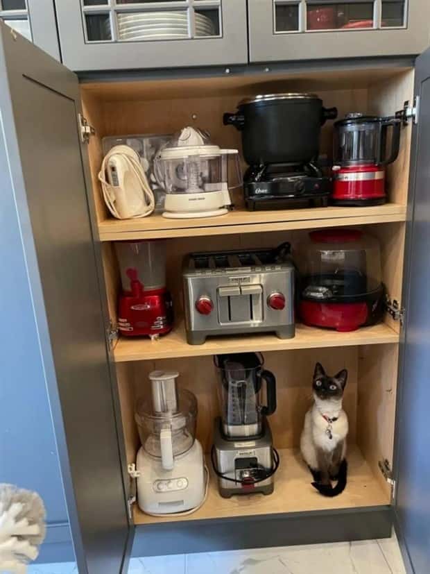 Get Ready for Funny Animals #384 (26 photos)