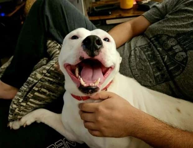 Get Ready for Funny Animals #384 (26 photos)