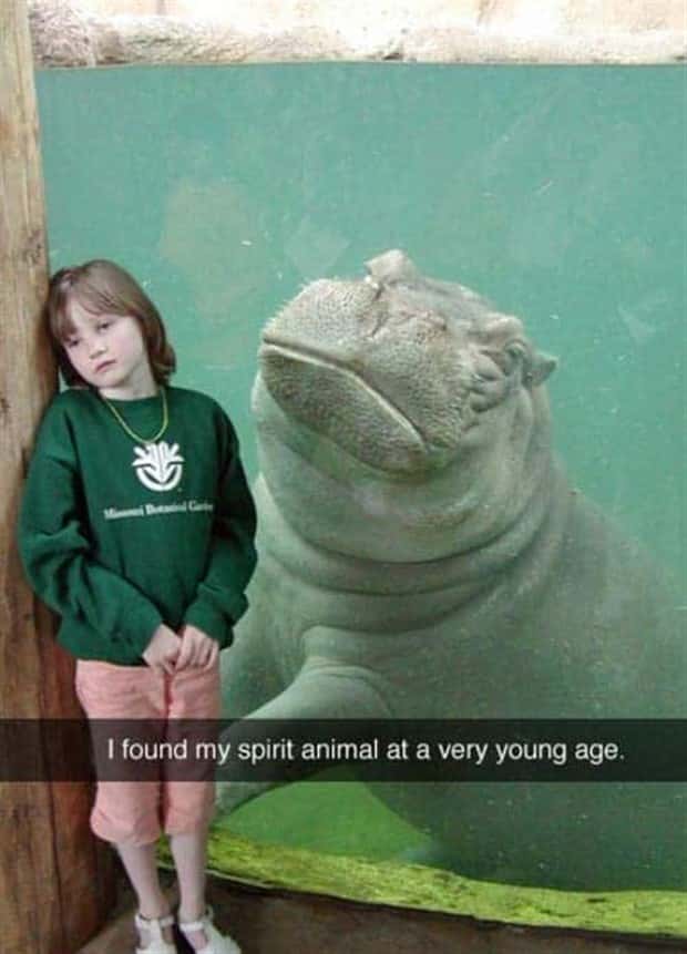 Funny Pet Snapchats You Need Right Now (25 photos)