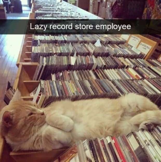 Funny Pet Snapchats You Need Right Now (25 photos)