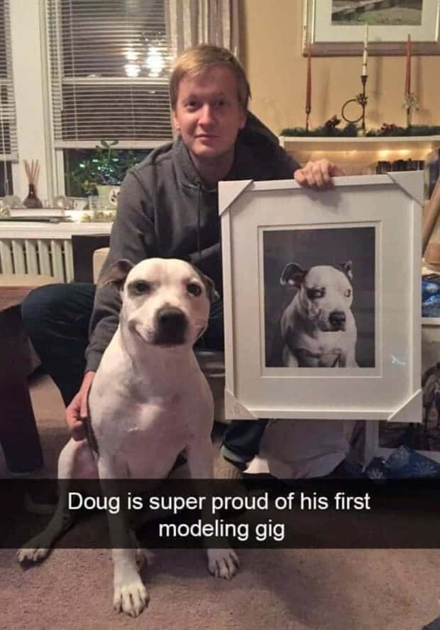 Funny Pet Snapchats You Need Right Now (25 photos)