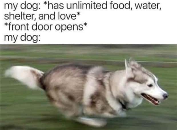 Funny Pics and Memes to Make You Laugh #153 (22 photos)