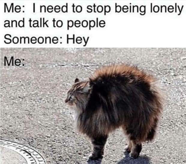 Funny Pics and Memes to Make You Laugh #153 (22 photos)