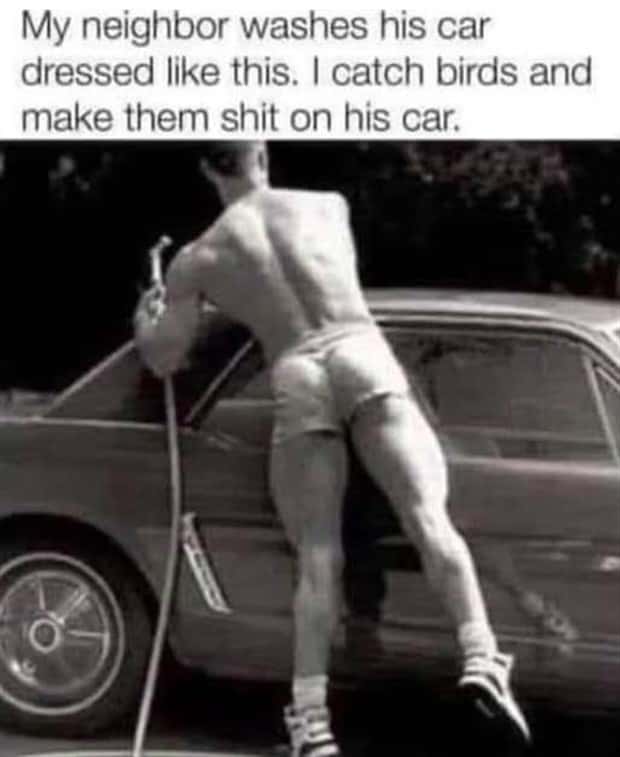 funny pics and memes 15 2 Funny Pics and Memes to Make You Laugh #155 (20 photos)