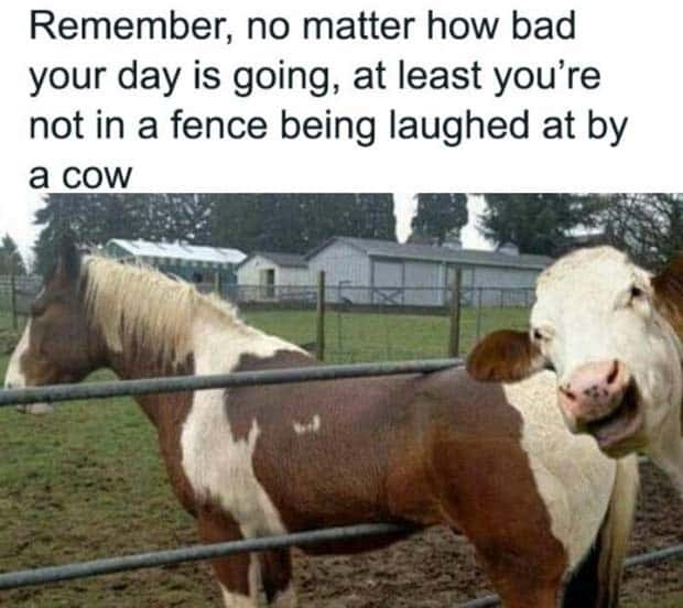 Funny Pics and Memes to Make You Laugh #156 (22 photos)