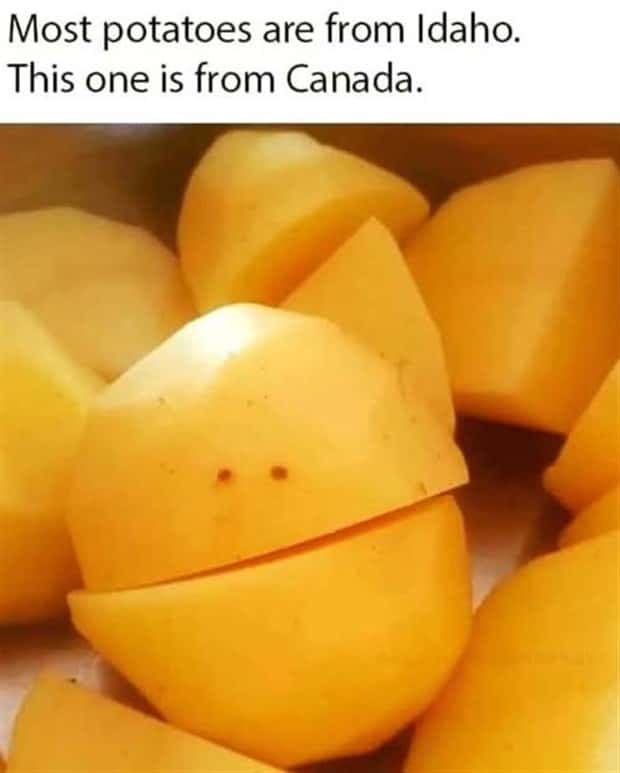 funny pics and memes 3 1 Funny Pics and Memes to Make You Laugh #154 (21 photos)