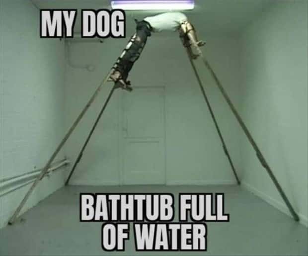 funny pics and memes 4 1 Funny Pics and Memes to Make You Laugh #154 (21 photos)