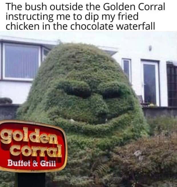 funny pics and memes 4 2 Funny Pics and Memes to Make You Laugh #155 (20 photos)