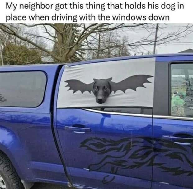 funny pics and memes 7 2 Funny Pics and Memes to Make You Laugh #155 (20 photos)